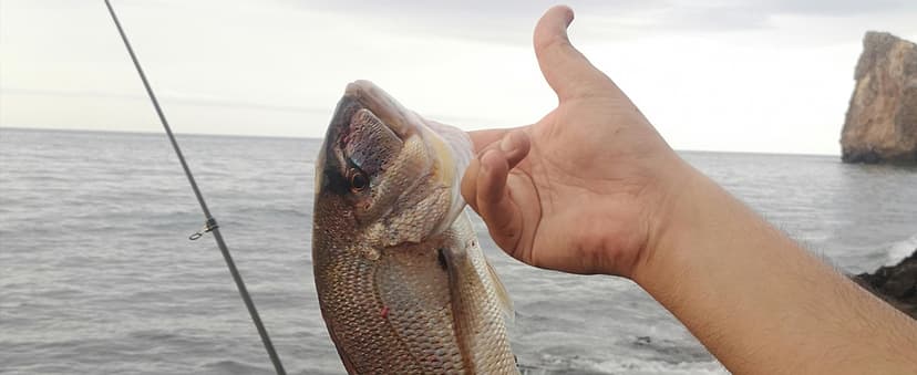 HERCULES Cost-Effective Super Cast 8 Strands Braided Fishing Line 10LB to 300LB Test for Salt-Water,109/328/547/1094 Yards(100M/300M/500M/1000M),Diam.#0.12MM-1.2MM,Hi-Grade Performance,Variety Colors