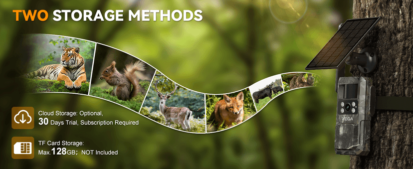 Xega 4G LTE Cellular Trail Camera with Livestreaming, No WiFi Game/Deer Cameras, Motion Activated, 7800mAh Battery, 950nm No Glow Night Vision, TF/Cloud Storage, IP66 Weatherproof, Built-in SIM Card