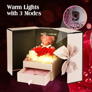 ADDWel Birthday Gifts for Mom from Daughter and Son, Unique Mother Birthday Gift Idea, Preserved Real Roses with I Love You in 100 Languages Mom Necklace, Cool Present to Mother Mama