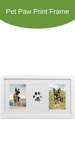 Green Pollywog 5-Opening Paw Print Collage Frame | Paw Print Picture Frame | Display for Photos for Pets | Dog Mom Gift | Dog Dad Collage | Pet Memorial Picture Gallery