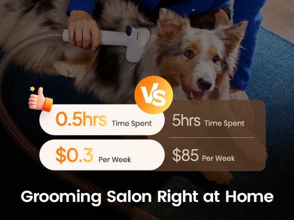 oneisall Dog Grooming Vacuum, 15000Pa Pet Vacuum Kit Shedding 99% Pet Hair, Dog Grooming Clippers with Trimmer Nail Grinder, ≤ 59dB Quiet Brush with 6 Tools, 2L Canister for Home Cleaning,Cozy SE 2