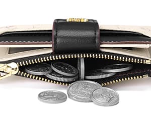 GAEKEAO Small Wallets for Women RFID Blocking Leather Bifold Zipper Pocket Wallet Credit Card Holder with ID Window