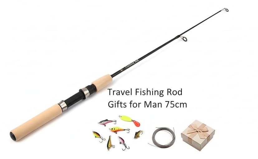 WLngtv Pocket Telescopic Fishing Rod,Winter Rods Ice Fishing Rods Pen Pole Lures Fishing Tackle Spinning Casting Hard Rod Without Reel Useful and Practical Travel Fishing Rod, Gifts for Man (75cm)