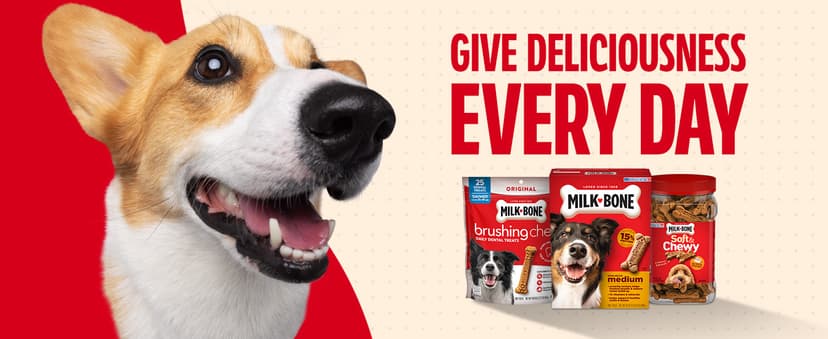 Milk-Bone Holiday Dog Biscuits, 24 oz Collectible Holiday Tin B08WHBRJ9B