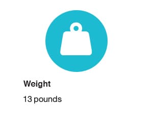 INTEX 28006E ZX100 Pressure-Side Above Ground Automatic Pool Cleaner: For Bigger Pools – Cleans Pool Floor – Removes Debris – Removable Filter Tray – 21ft Tangle Free Hose