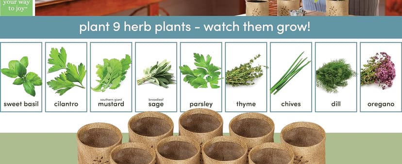 Planters' Choice 9 Herb Indoor Window Garden Kit - House Plants Seeds - Best Unique Gift Ideas for Women, Mom, Friend, Her, Birthday, Housewarming, Mother - New Home Kitchen Gifts - Live Plant Starter