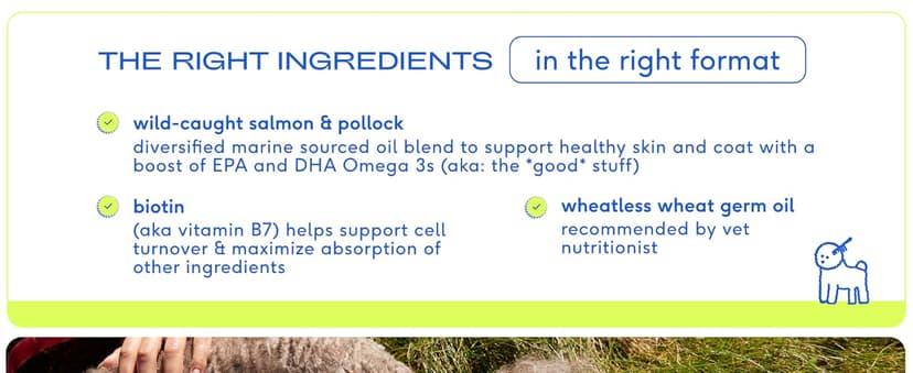 Native Pet Omega 3 Fish Oil for Dogs & Cats - Promotes Healthy Skin, Shiny Coat, & Strong Joints - Made with Wild Alaskan Salmon Oil for Dogs – Tasty, Fast-Absorbing Omega 3 6 9 Liquid Supplement- 8oz