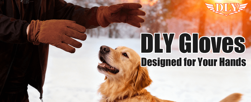 DLY Winter Work Gloves, Water-Resistant, Insulated, Puncture and Abrasion Resistant, Cowhide Durable gloves Warm Thick