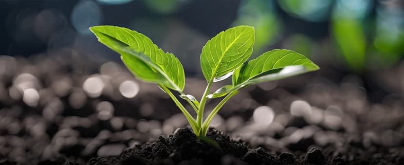 VANPORE Ash Vacuum Cleaner 5.2 Gallon with 1200w Suction Power&Wheeled Base, Ash Vacuum for Pellet Stoves, Fireplaces, Grill, Wood Stove, Fire Pits,Green