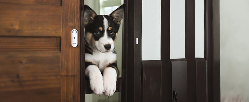 TECKNET Door Alarms for Kids Safety, Window Alarm Pool Alarms Door Alarm for Home Security, 2-in-1 Alarm & Chime, 3-Level Volume Control, Wireless Alarm for House Hotel Cars Sheds Caravans (3 Pack)