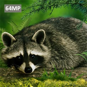 GardePro E5S Trail Camera (Non-Cellular, Non-WiFi), 64MP Photo & 1296P HD Video, 0.1s Trigger, 100ft No-Glow Night Vision, Motion Activated Wildlife Camera