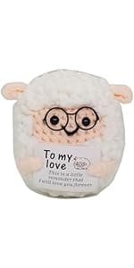 Funny Crochet Pickles 1 Pcs with Affirmations Cards for Inspirational Novelty Good Luck Gift and Party Decorations (KK-CKD04- REDCUM)