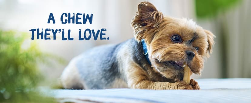 Purina Busy Bone Adult Dog Chew Bone Treats, Peanut Butter - 10 ct. Pouch