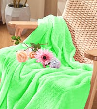 Inhand Fleece Throw Blankets, Super Soft Flannel Cozy Blankets for Adults, Washable Lightweight Blanket for Couch Sofa Bed Office, Warm Plush Blankets for All Season (50"×60", Green)
