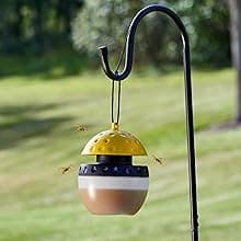 Spectracide Wasp, Hornet & Yellowjacket Trap, Hanging Wasp & Hornet Trap with a Quick-Drown Formula That Submerges & Kills Insects, 1 Count