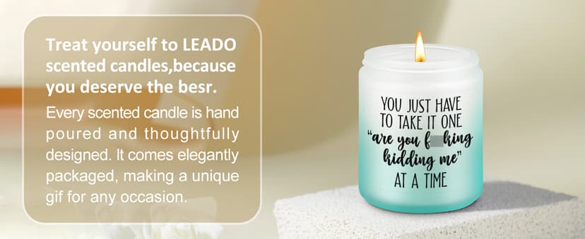 Christmas, Funny Birthday Gifts for Coworkers, Best Friend, Employee, Boss, Female, Male, Woman, Cool Sarcastic Work Ideas LEADO Candles, Boss Lady, Coworker Gifts for Women, Men - Bosses Day Gifts B08SPYC6RX