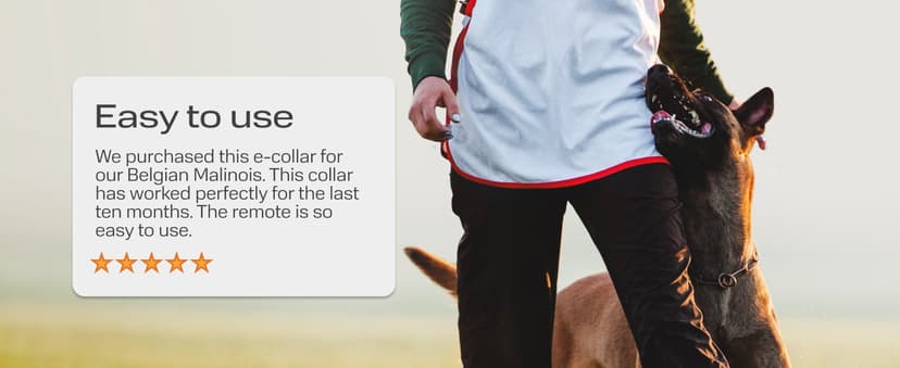 PetSpy Shock Collar for Dogs-Waterproof Dog Shock Collar with Remote Control,Vibration,Electric Shock,Beep-E Collar for Dogs Training,Collar with Remote for 10-140 LBS