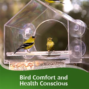 Nature Anywhere Window Bird Feeder - Transparent Acrylic Bird Feeders for Outdoors - Enhanced Suction Grip, Bird Watching for Cats, Easy-to-Clean, Outdoor Birdhouse Feeder (1 Unit)