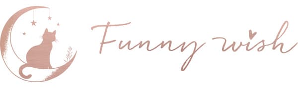 LITTLEBIGGER Friendship Gifts for Women – Christmas Wine Glasses – 15 oz Scratch-Resistant Wine Glass, Birthday Gifts for Women, Mom, Sisters, Friends, Gifts for Christians, Christmas gifts