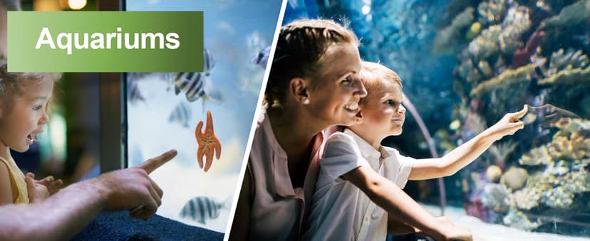 AAwipes Aquarium Ammonia Test Strips 8-in-1 |25 Strips | Quick & Accurate Water Testing Test pH, Carbonate, Alkalinity, Hardness, Chlorine, Nitrite, etc. (K02-25)