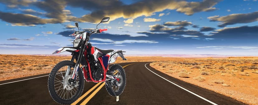 X-PRO Titan DLX 250cc Gas Dirt Bike Pit Bike Adult Bike,Big 21"/18" Wheels, Zongshen Engine! (Red)