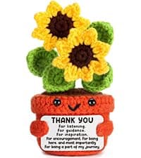 Positive Crochet Taco Christmas Birthday Gifts for Women Men Self Care Son Back to School Mom Dad Daughter Sister Friend Coworkers Relaxation Gift Desk Home Fall Decor Emotional Inspirational Support