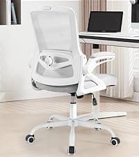 Ergonomic Office Chair, Desk Chair with Adjustable Lumbar Support, Breathable Mesh Comfy Computer Chairs with Flip-up Armrests Executive Task Chair for Adults Home Office(Black)