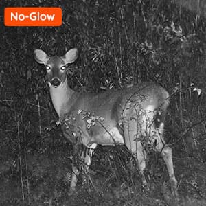 20MP Mini Trail Camera 1080P Hunting Trail Camera with No Glow 940nm Night Vision Motion Activated IP66 Waterproof,80ft Illumination Range Hunting Game Cam for Wildlife Monitoring- Grey-(2 Packs)