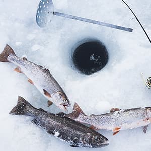 Ice Fishing Rod Portable Lightweight Spinning Rod Ice Fishing Pole Winter Ice Fishing Gear for Trout Walleye Perch Panfish Crappie