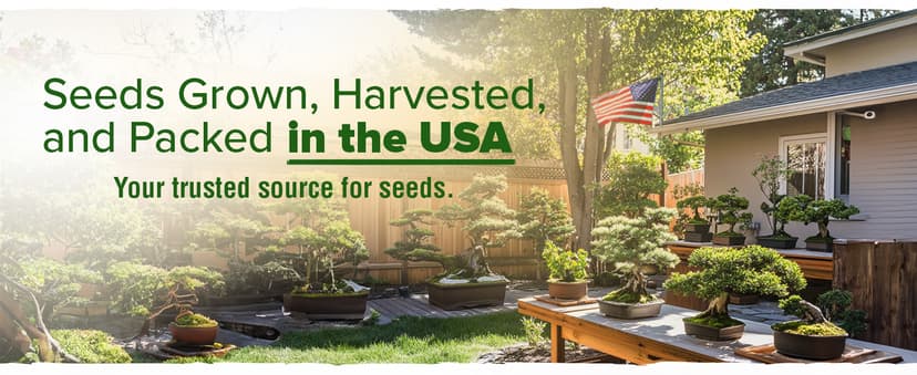 Bonsai Tree Kit - Gifts for Men & Women - Grow 4 Bonsai Trees - Unique Gardening Crafts for Adults, DIY Hobbies for Plant Lovers & Gardeners - Unusual Christmas Gift Ideas for Mom & Dad