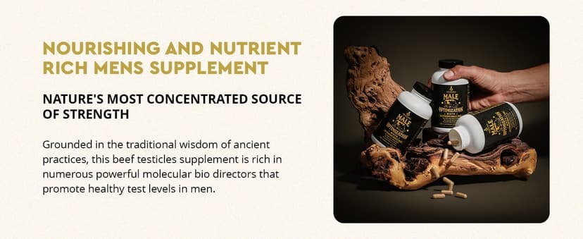 Ancestral Supplements Ancestral Supplements Mofo, Supplements for Men, Support for Energy Levels and Overall Men's Health and Wellness, Non-GMO Grass Fed Beef Organ Supplement with Liver, No Fillers, 180 Capsules