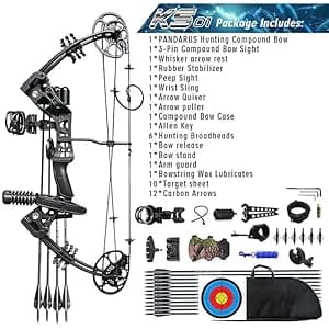 Compound Bow Set 15-45lbs for Pull Beginner and Teens Right Handed Adjustable 18"-29" Draw Length, 320 FPS Speed, Hunting Bow Archery Set New 2024