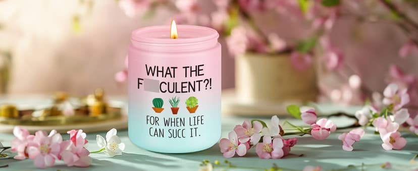 Pick Me up, Break up Gifts for Women Her, Funny Birthday Christmas Cool Gifts for Plant Lovers Mom Lady Friend Wife Miracu Succulent Candle, Get Well, Cheer up, Plant Lover Gifts for Women B0BJ2RSYBB