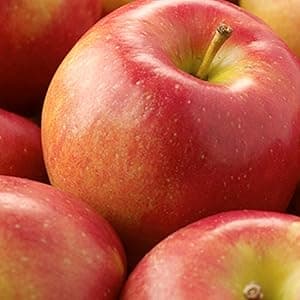 Holiday Chocolate, Nuts & Fresh Fruit Gift Basket