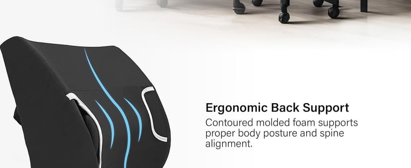 Vaunn Medical Seat Cushion, Lumbar Back Support Pillow for Office Chair with Removable Firm Insert