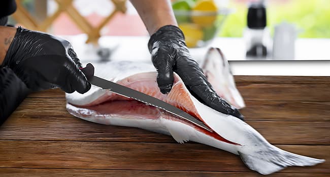 Sidomma 2 pcs Fishing Fillet Knife Set Stainless Steel 6.5 Inch Pro Fish Knife for Filleting, Fishing Gear, Fishing Tool Set, Fishing Sccessories Gifts for Men