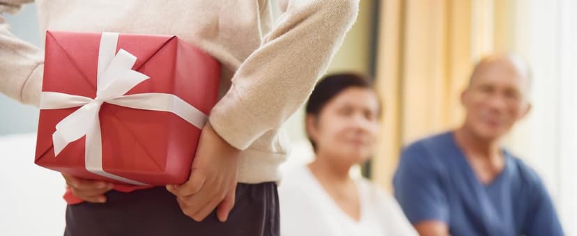 Electric Wine Chiller, Single Bottle Cooler for 750ml Wine or Some Champagne,Stainless Steel Iceless Cooler Keep Cold Up to 24h,Kitchen,Bar and RV Vino Accessory,Gift for Vino Lover