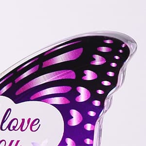 Sister Birthday Gifts, Birthday Gift for Sister from Sisters Brother - Butterfly Shaped Decorative Acrylic Plaque - Sisters Gift for Christmas Valentines Mothers Day Birthday