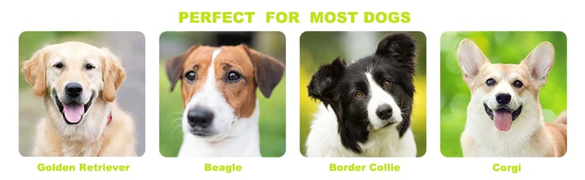 Giant 9.5" Dog Tennis Ball Large Pet Toys Funny Outdoor Sports Ball with Inflating Needles for Small Medium Large Dog