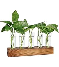 Unique Gardening Birthday Gifts for Women Plants Lovers, Home Office Garden Decor Planter - 3 Bulb Glass Vases Renmxj Plant Propagation Station, Plant Terrarium with Wooden Stand B096VDR4TM
