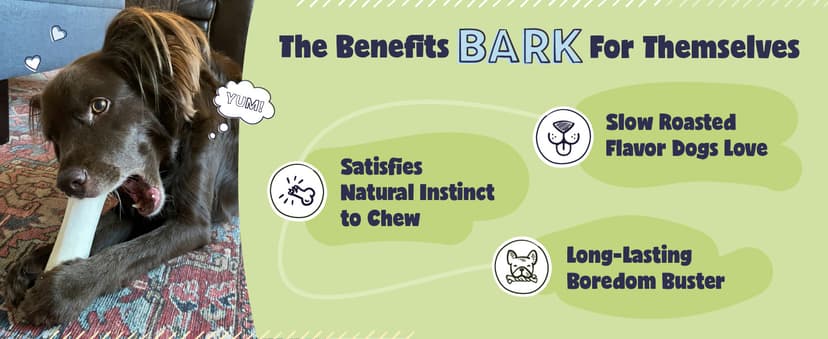 Pawstruck Large 5-6” Filled Dog Bones Variety Pack - Peanut Butter, Cheese & Bacon, Beef Flavors - Made in USA, Long Lasting Stuffed Femur Treat for Aggressive Chewers - Pack of 3, Packaging May Vary