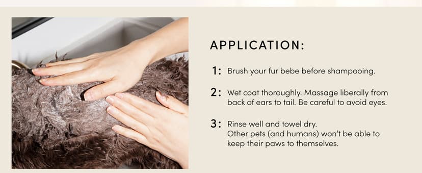 OUAI Fur Bébé Pet Shampoo, Mercer Street Scent - Dog Shampoo and Coat Wash for Hydrating, Cleansing and Adding Shine - Pet Supplies by OUAI (16 Fl Oz)