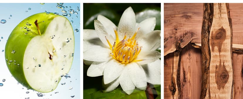 Nautica Voyage Eau De Toilette, Cologne and Fragrance For Men, Fresh, Romantic, Fruity Scent Woody, Aquatic Notes of Apple, Water Lotus, Cedarwood, and Musk Ideal Day Wear, Long Lasting 3.3Fl oz