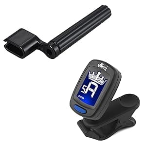 WINZZ AF227A 39 Inches Concert Acoustic Acustica Guitar with Full Kit, Delicate Vine