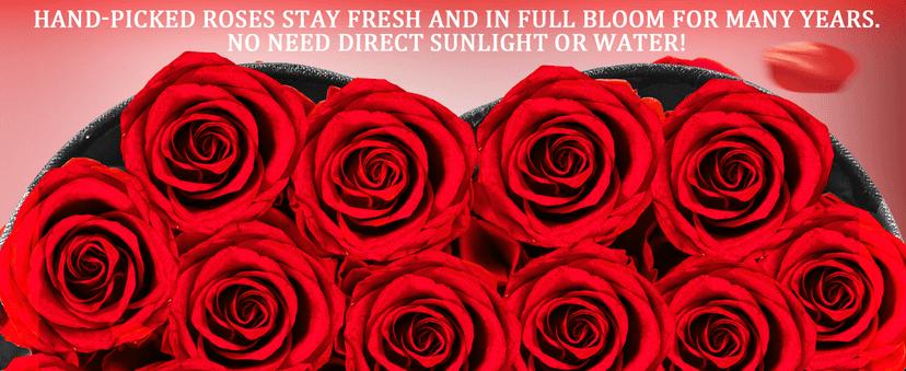 16-Piece Preserved Rose Birthday Gifts for Women, Eternal Rose Preserved Flowers for Delivery Prime Mothers' Day, Valentine's Day, Christmas, Birthday - Red Roses