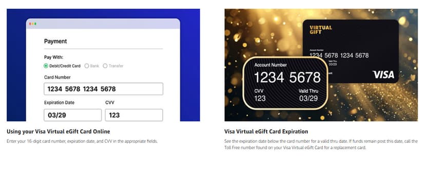 $100 (plus $5.95 Purchase Fee) - For Online Use Only Visa Virtual eGift Card B0DG8FDNBK