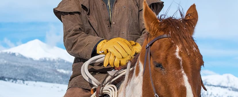 toolant Winter Work Gloves for Men, Insulated Leather with Water Resistance and Abrasion Protection for Cold Weather