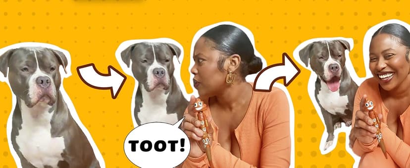 Farting Poop Pen with Multiple Funny Sounds - Perfect Novelty Gift for Teens, Kids & Boys - Functioning Pen & Prank Toy for The Entire Family, Fun Gag Gifts with Big Laughs (Original)