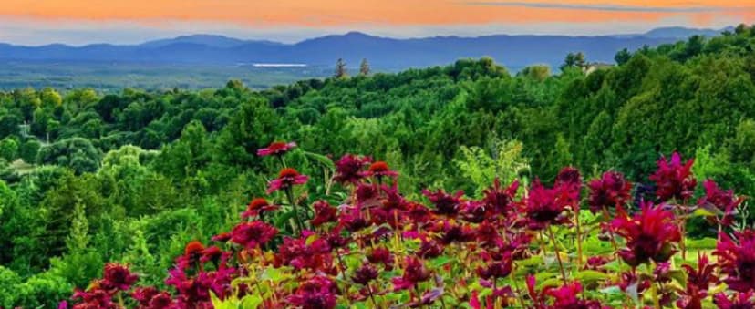 Bee's Wrap Beeswax Wraps for Food - Made in USA Reusable & Organic Food Wraps, Sandwich Wrap & Bowl Covers - Eco-Friendly Alternative to Aluminum Foil & Plastic Wrap, Ocean 3 Pack (S, M, L)