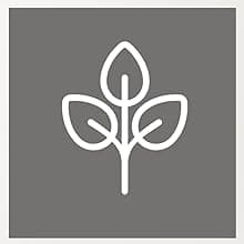 Sweet Coconut Spa Gift Set for Women – Relaxation Gift Basket with Candle, Soap, Salt Scrub & Shower Steamers – Birthday, Thank You, Bridal Shower & Self Care for Mom, Wife, Sister, Friend